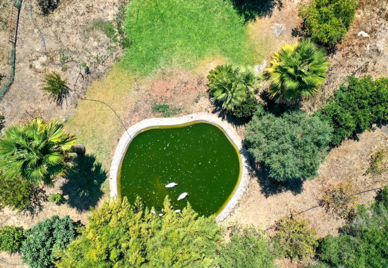 Villa Plomera Pollença Buitenkant foto